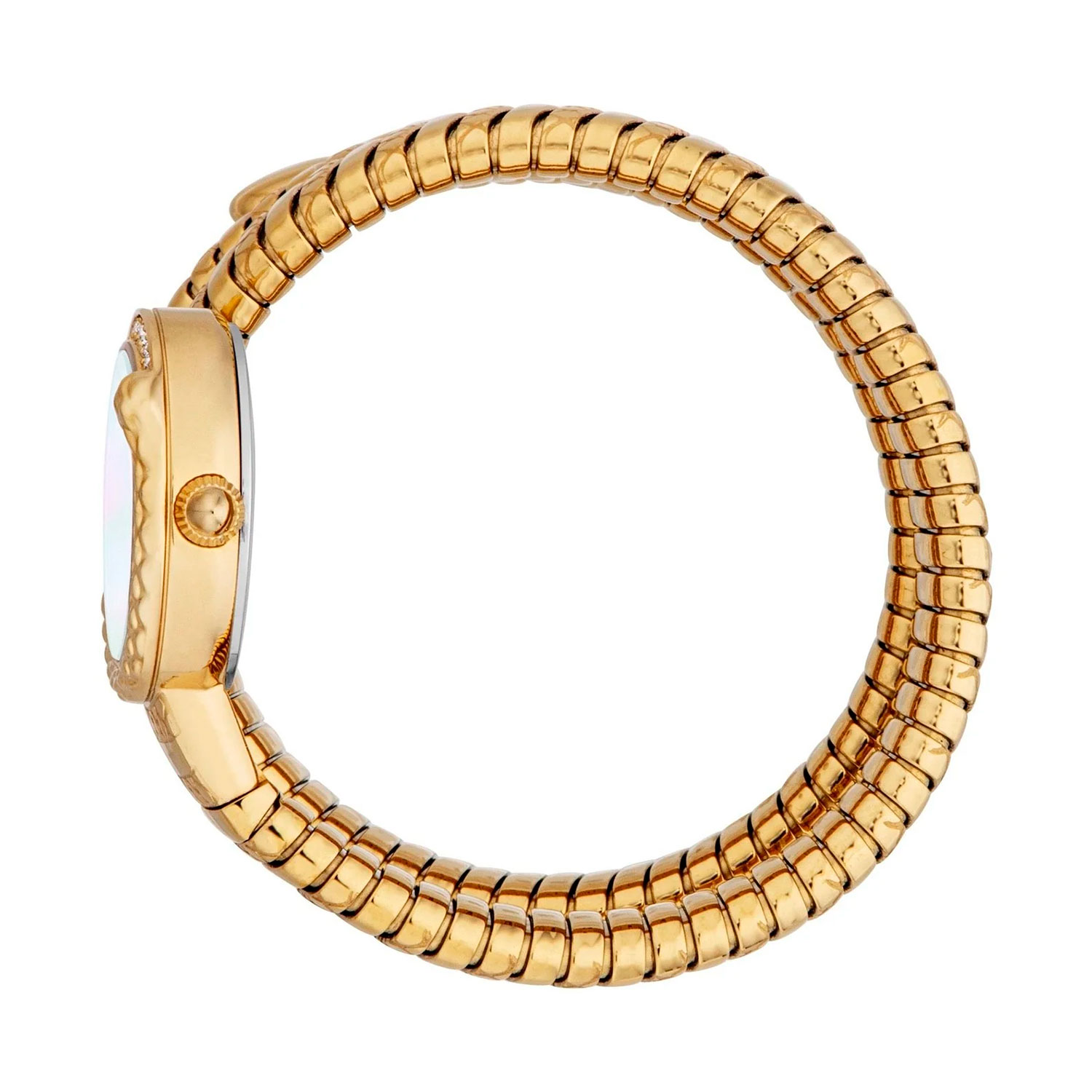 Just Cavalli JC1L302M0025